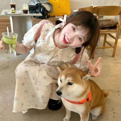 27套礼服